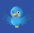 Follow Us On Twitter